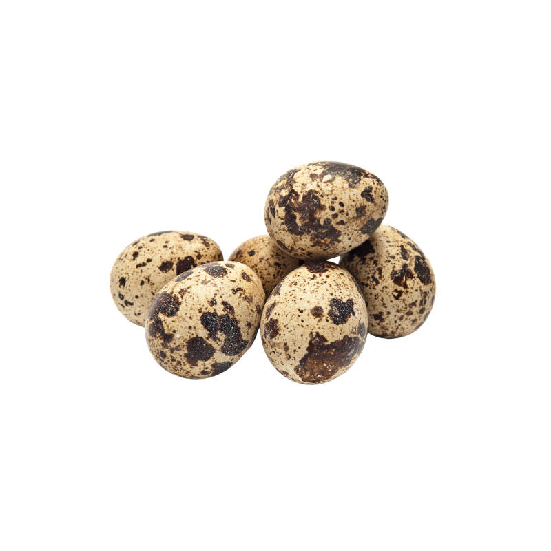 Quail Eggs 