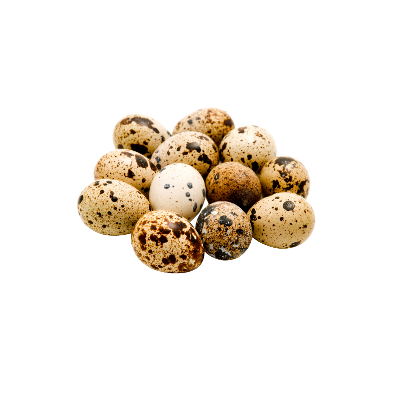Quail Eggs 