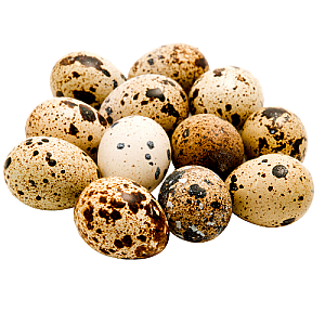 Quail Eggs 