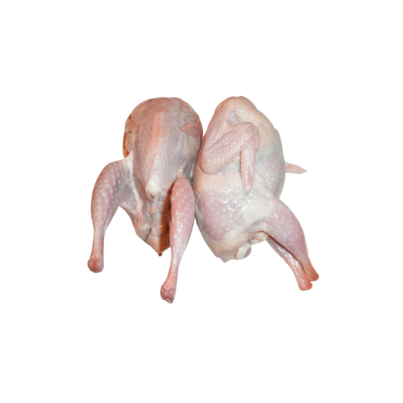 Dressed Quails (2 Pack)