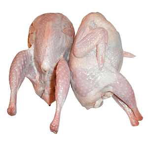Dressed Quails (2 Pack)